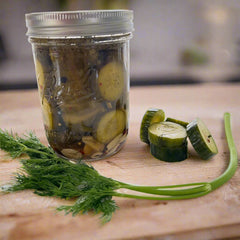 Small-Batch Pickled Dill Persian Cucumbers | No Sugar Added (16oz)