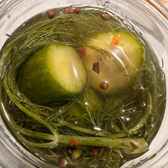 Small-Batch Pickled Dill Persian Cucumbers | No Sugar Added (16oz)